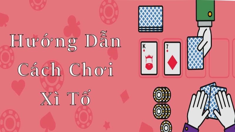 Hướng dẫn người mới cách chơi trò chơi xì tố